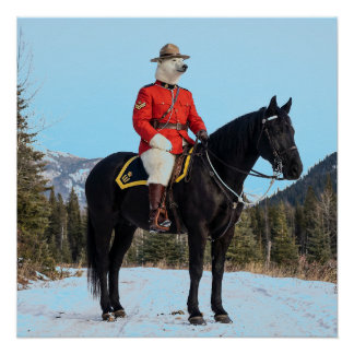 Póster Corporal da RCMP de Urso Polar a Cavalo