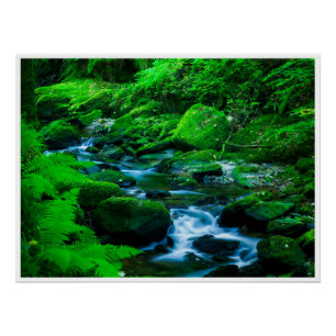 Póster Córrego da Floresta Musgosa no Parque Nacional de