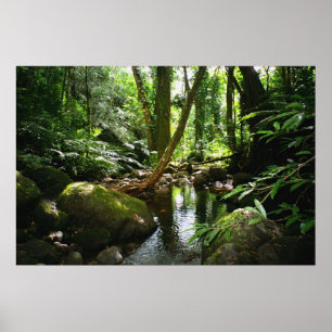Póster Córrego do vale de Manoa