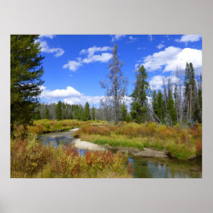 Póster Córrego perto do lago redfish, Idaho.