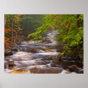 Poster Córregos Fluindo ao Longo da Trilha Appalachian