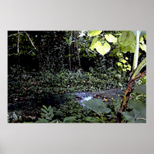 Póster Córregos tropicais