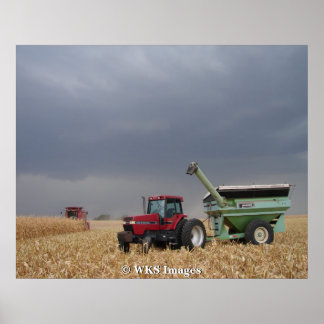 Póster Correndo a Tempestade