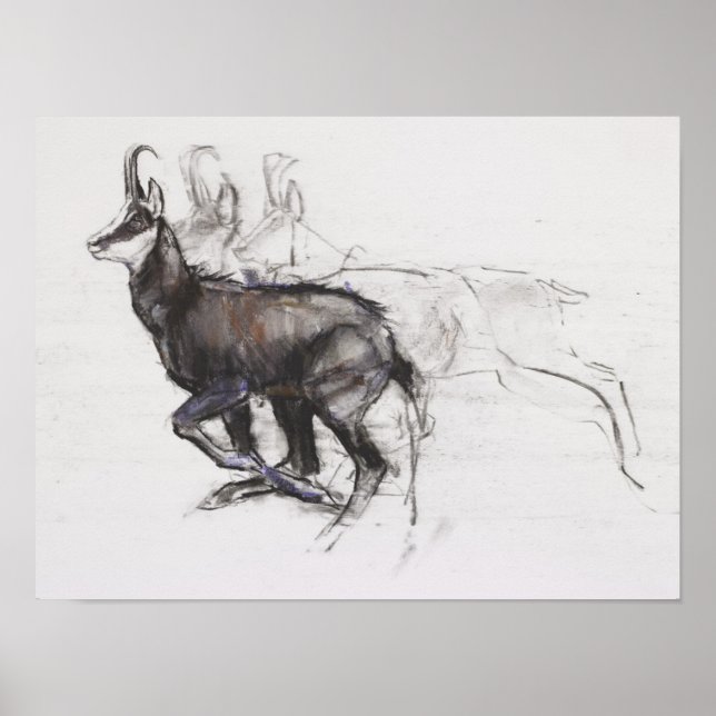 Poster Correndo Chamois (Frente)