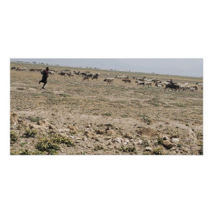 Póster Correndo o Serengeti