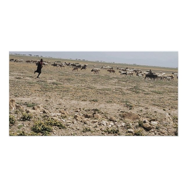 Póster Correndo o Serengeti (Frente)