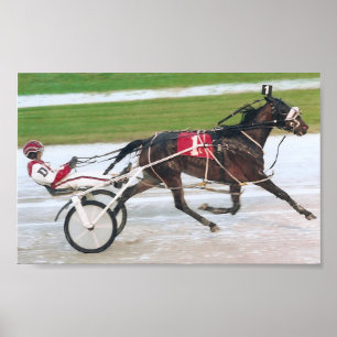 Póster corrida de cavalos