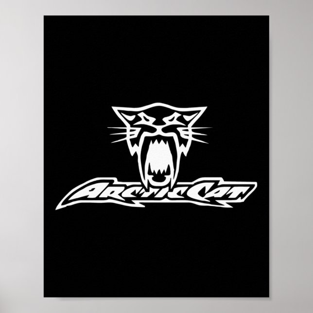 Poster Corrida de Gato Ártico Snowmobile Powersport Pullo (Frente)