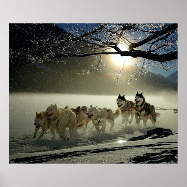 Póster Corrida de Sled de Cachorro do Rouco do Alasca (Frente)
