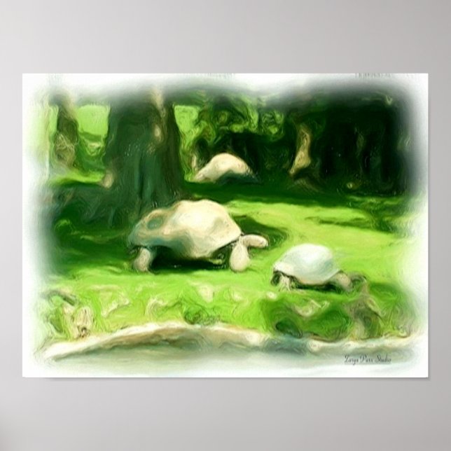 Póster Corrida de Tortoise (Frente)