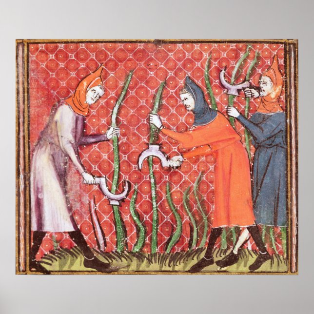 Póster Cortando Árvores, de Ovide Moralize (Frente)