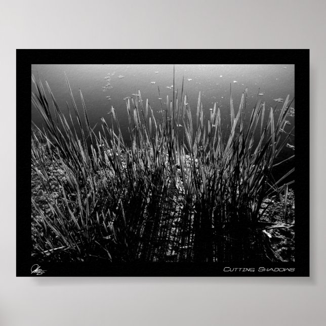 Póster Cortando Sombras (Frente)