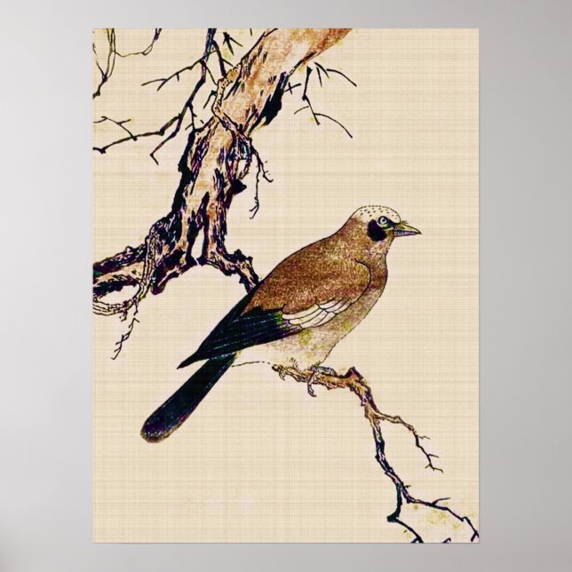 Póster Corte japonês de uma Finch, Brown e Beige (Frente)