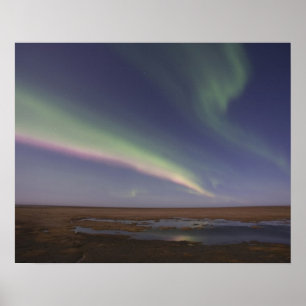 Póster Cortinas de luzes nortes coloridas