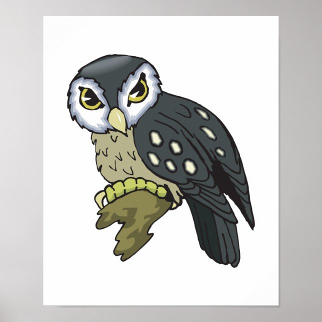 Poster coruja (Frente)