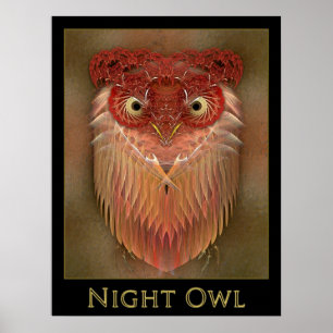 Póster Coruja de noite