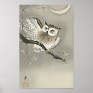 Poster Coruja de Olho Longo em Ginkgo por Ohara Koson