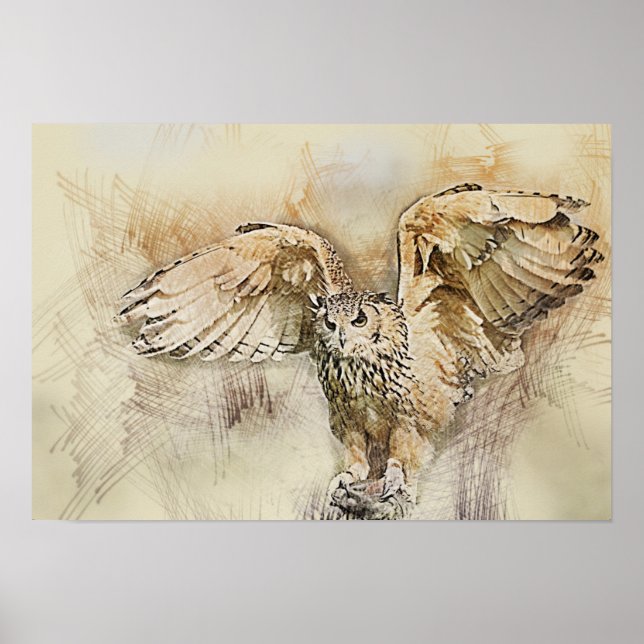 Póster Coruja de Voo (Frente)