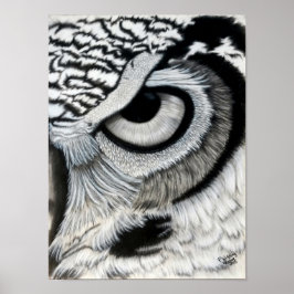 Poster Coruja (direita)