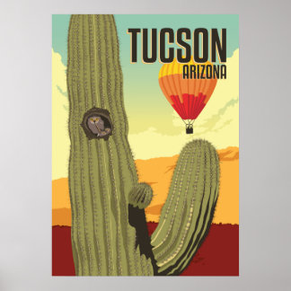 Poster Coruja Elf de 28" x 20 em Saguaro - Tucson, Arizon