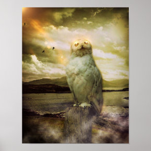 Póster Coruja Mystical