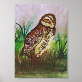 Poster Coruja na natureza, água, papel de parede, decoraç