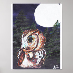 Poster Coruja na noite