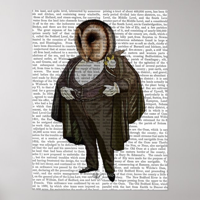 Póster Coruja Na Ópera (Frente)