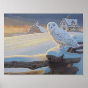Póster Coruja nevado em uma cerca