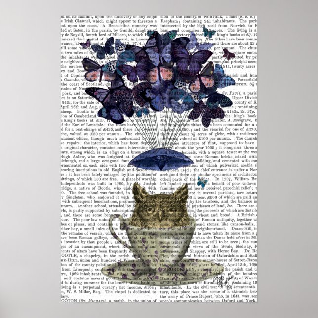 Poster Coruja No Teacup (Frente)