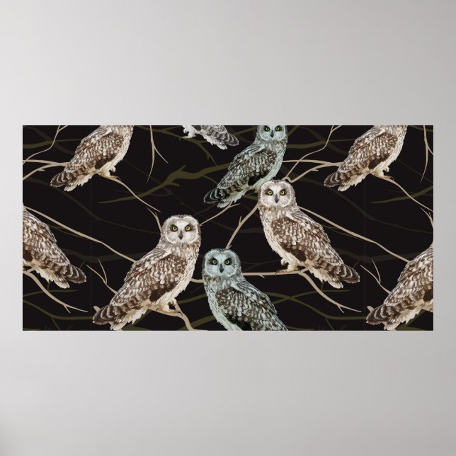 Poster coruja sentada num galho (Frente)