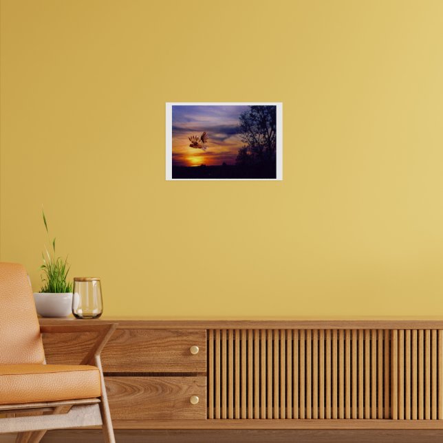 Póster Coruja Sunset Mídia Mistura (Sala de Estar 2)