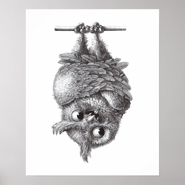 Poster Coruja Vampiro - Muito Assustadora (Frente)