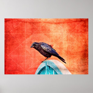 Póster corvo