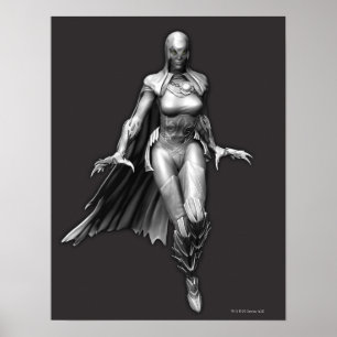 Póster Corvo