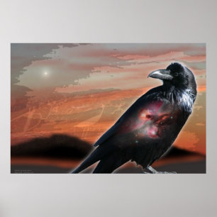 Póster Corvo da arizona