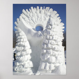 Póster Corvo da neve