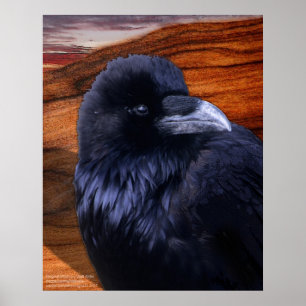 Poster Corvo de Blazen