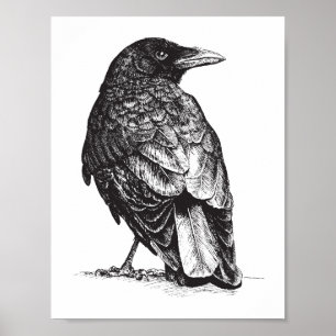 Poster Corvo do nanowatt
