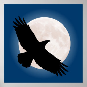 Póster Corvo do vôo com a lua atrás dela