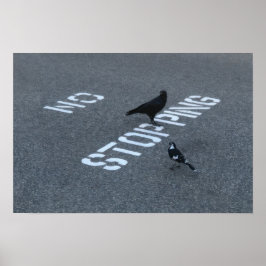 Poster Corvo e Pega