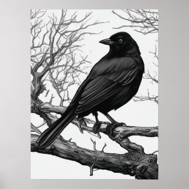 Poster Corvo Empoleirado em Galhos de Inverno nus (Frente)
