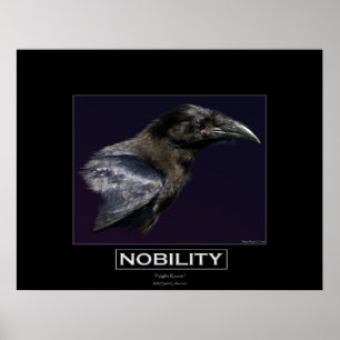 Poster Corvo inspirador Portait da NOBREZA