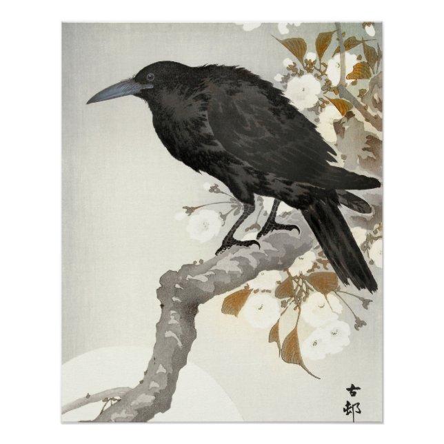 Póster Corvo Koson Japonês Pássaro Corvo (Frente)