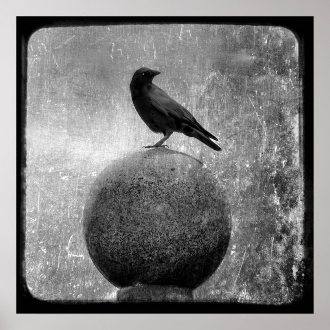 Póster Corvo mágico (Frente)