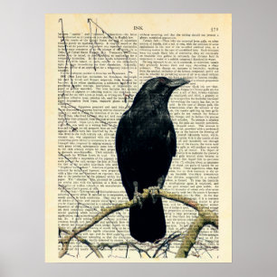 Poster Corvo Perido, Arte Corvo, Raven, Edgar Allan Poe