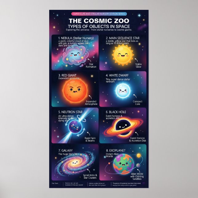 Poster Cosmic Zoo Space Objects Astronomy Infographic (Frente)