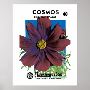 Póster Cosmos