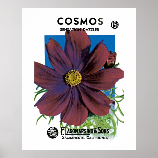 Póster Cosmos (Frente)