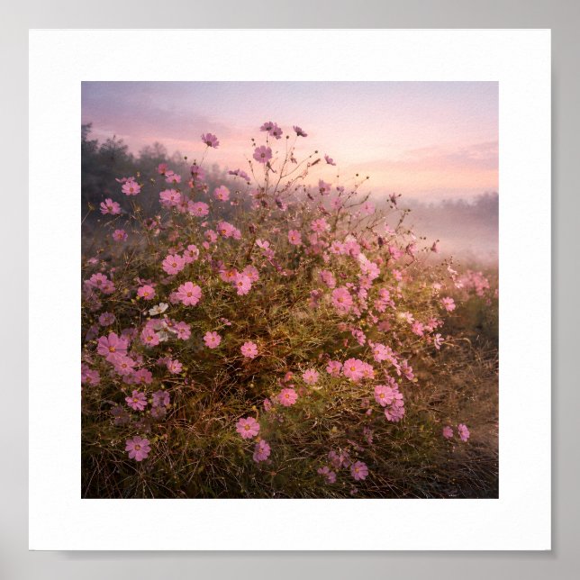 Poster Cosmos at Quiet Dawn – Soft Morning Meadow  (Frente)